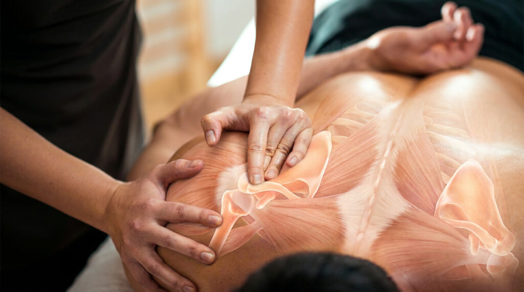 Intouch_fysiotherapie_sportmassage2